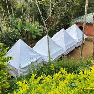 Resort Plantation Tent And Swimming Pool, Wayanad